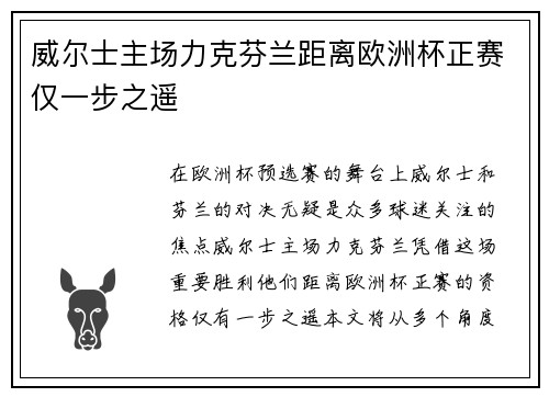 威尔士主场力克芬兰距离欧洲杯正赛仅一步之遥